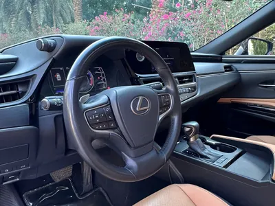 2023 لكزس إي إس 250