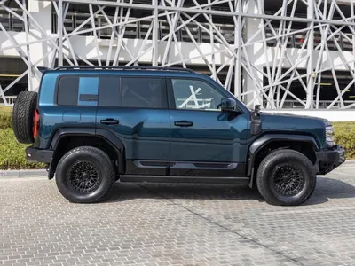 2024 بي واي دي ليوبارد 5