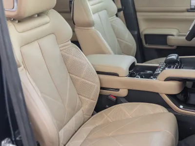 2024 بي واي دي ليوبارد 5