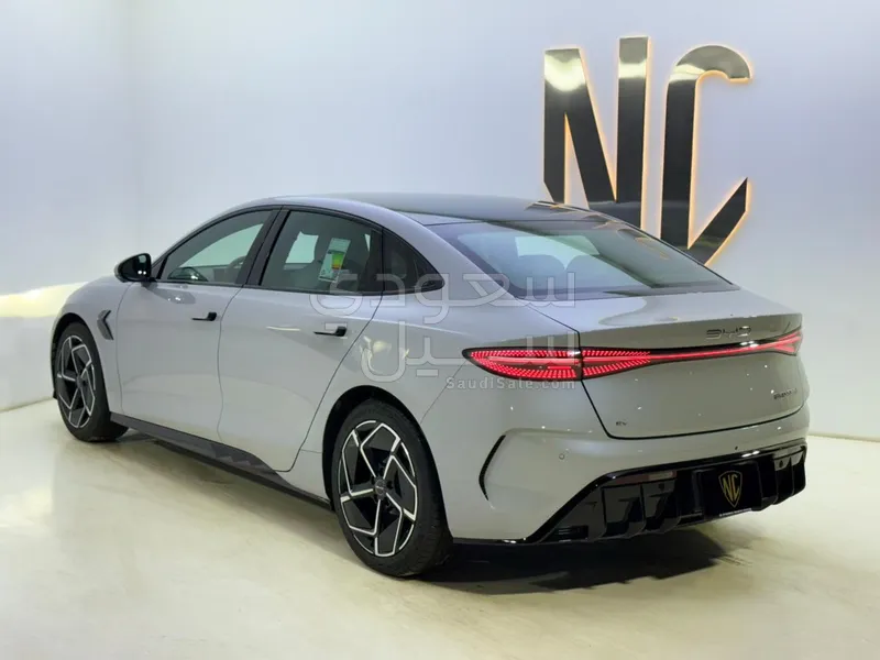 2025 بي واي دي سيل