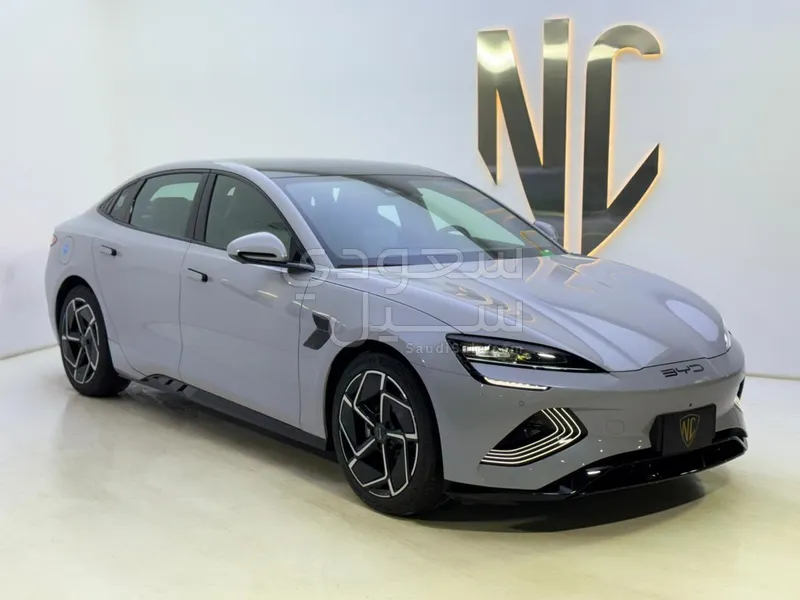 2025 بي واي دي سيل