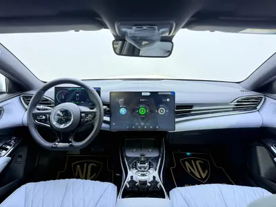 2025 بي واي دي سيل