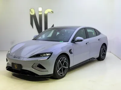 2025 بي واي دي سيل