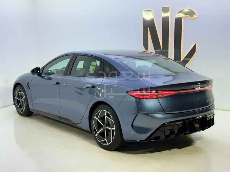 2025 بي واي دي سيل