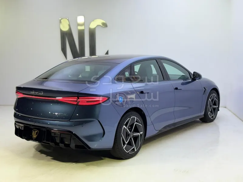 2025 بي واي دي سيل