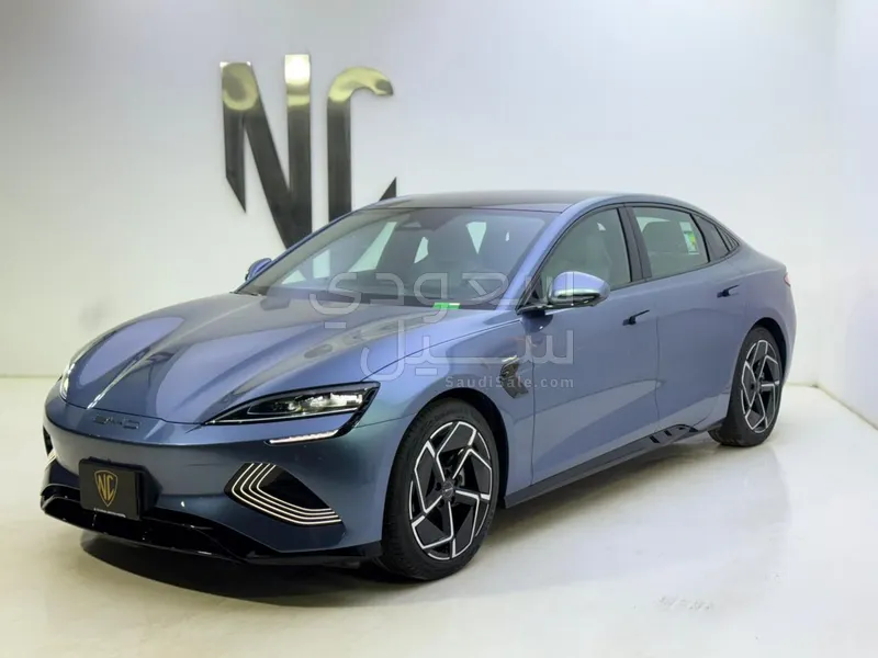 2025 بي واي دي سيل