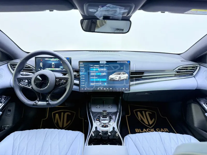 2025 بي واي دي سيل