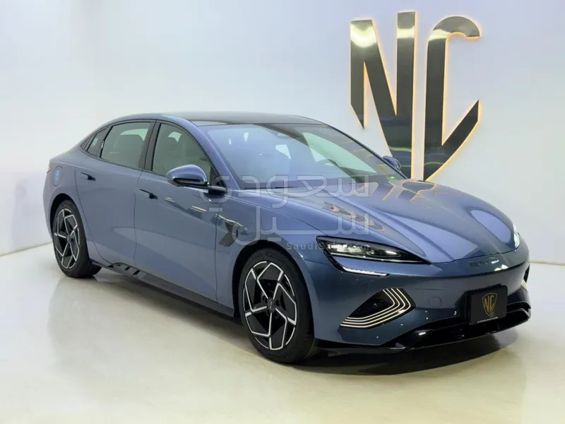 2025 بي واي دي سيل