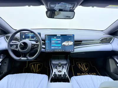 2025 بي واي دي سيل