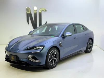 2025 بي واي دي سيل