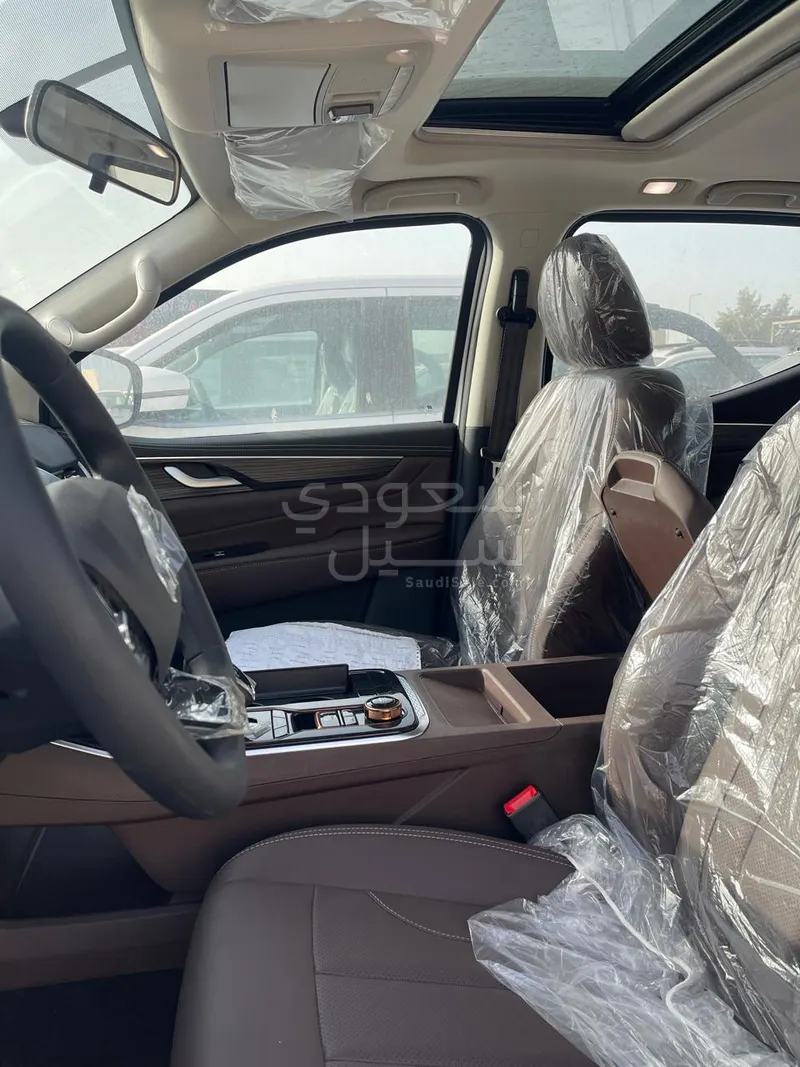 2025 دونج فينج ريتش 7 غمارتين