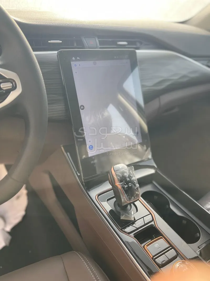 2025 دونج فينج ريتش 7 غمارتين