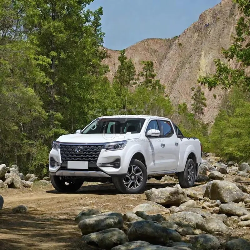 2025 دونج فينج ريتش 7 غمارتين