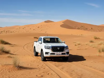 2025 دونج فينج ريتش 7 غمارتين