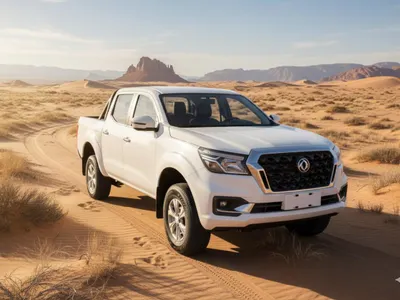 2025 دونج فينج ريتش 7 غمارتين