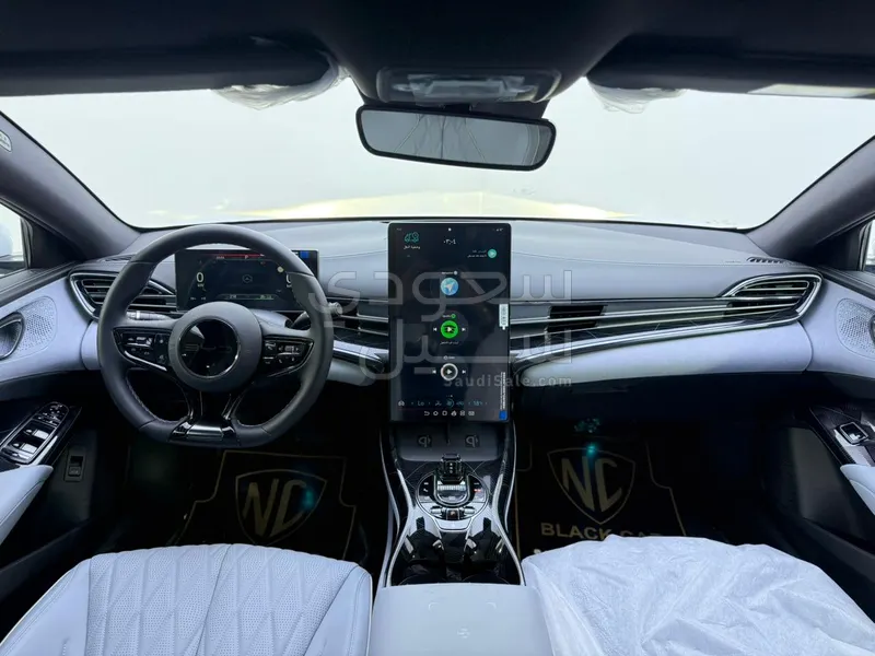 2025 بي واي دي سيل