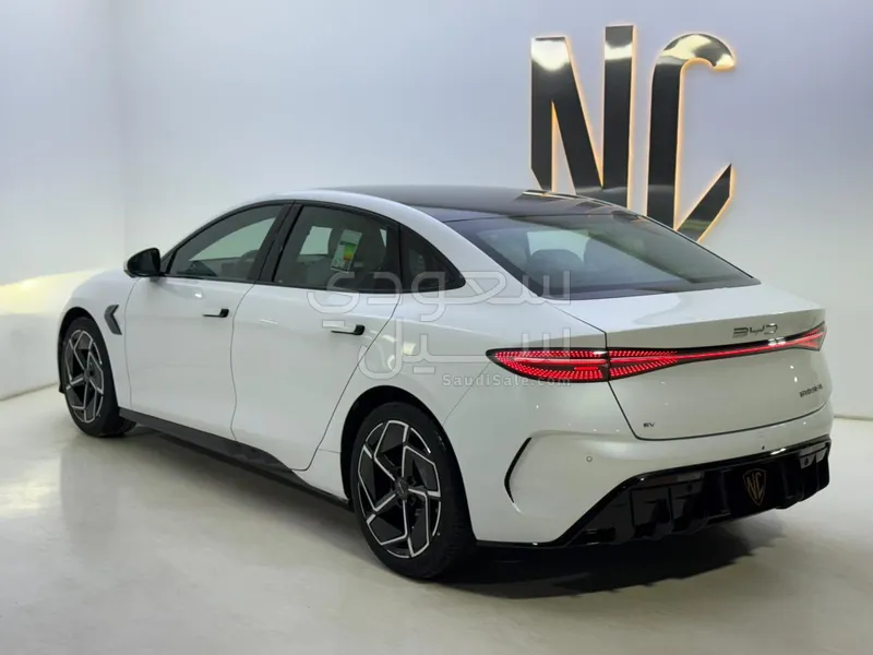 2025 بي واي دي سيل