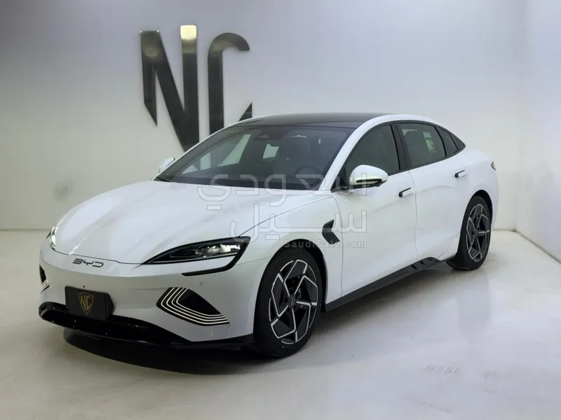 2025 بي واي دي سيل