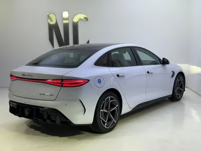 2025 بي واي دي سيل