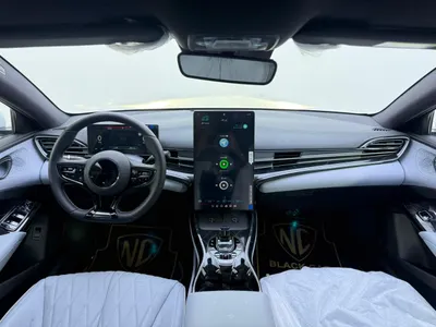 2025 بي واي دي سيل