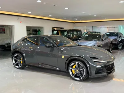 2026 فيراري بوروسانجوي