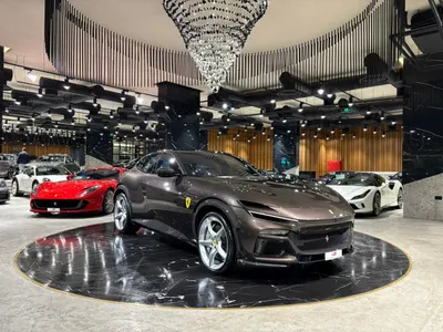 2025 فيراري بوروسانجوي