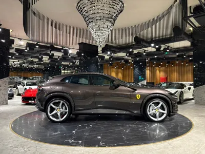 2025 فيراري بوروسانجوي