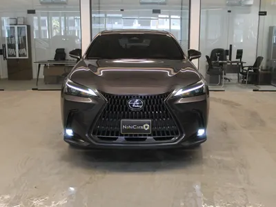 2023 لكزس إن إكس 350