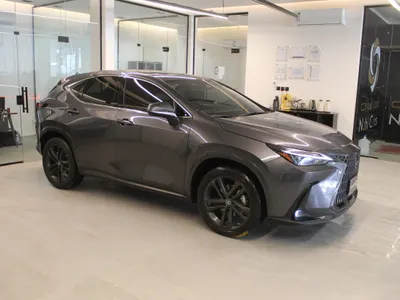 2023 لكزس إن إكس 350