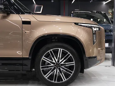 2026 روكس 01 أدماس