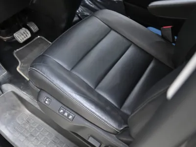 2023 بيجو ترافلر