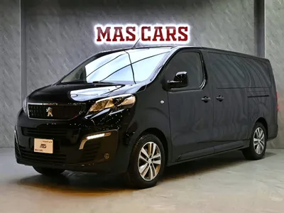 2023 بيجو ترافلر