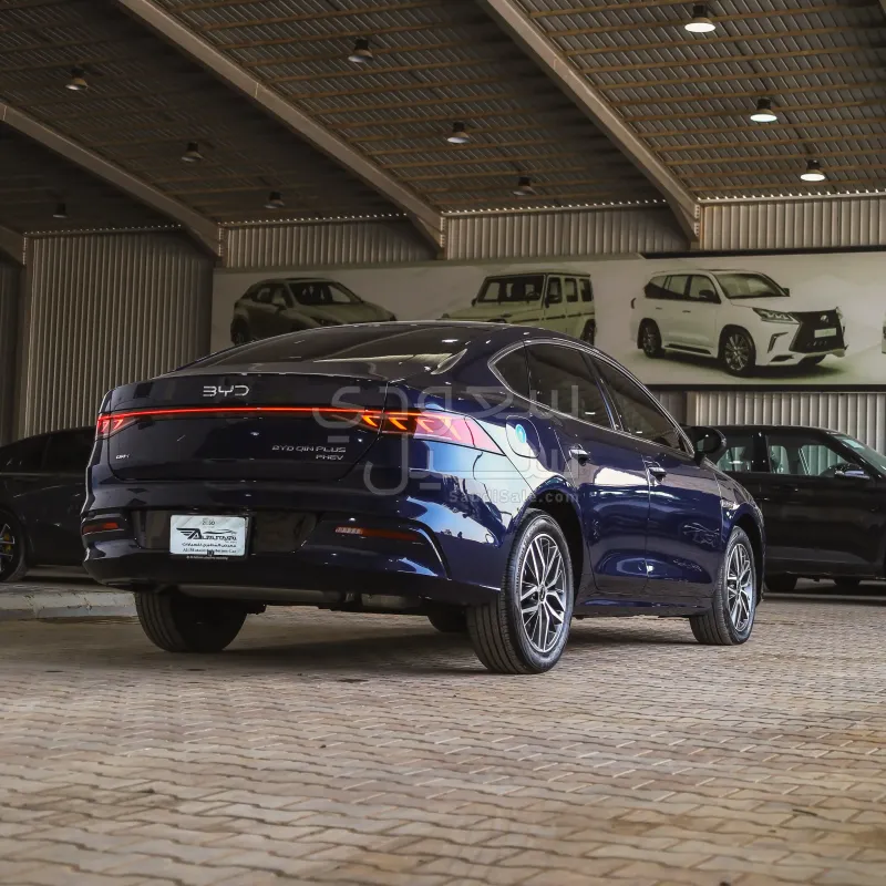 2024 بي واي دي كين بلس