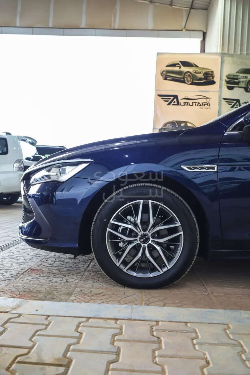 2024 بي واي دي كين بلس