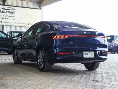 2024 بي واي دي كين بلس