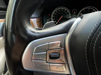 2017 بي ام دبليو الفئة السابعة 750 إل أي إنديفيجوال