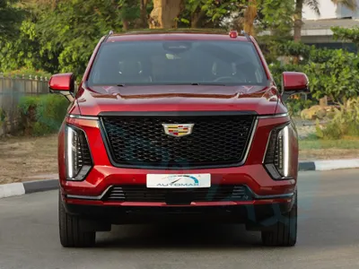 2025 كاديلاك اسكاليد سبورت