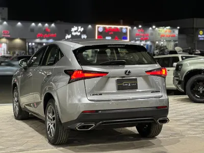 2020 لكزس إن إكس 300