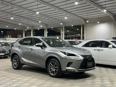 2020 لكزس إن إكس 300