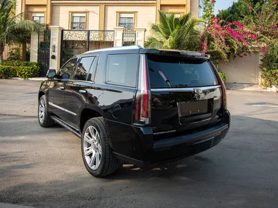 2020 كاديلاك اسكاليد بلاتينيوم