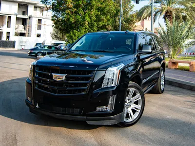 2020 كاديلاك اسكاليد بلاتينيوم