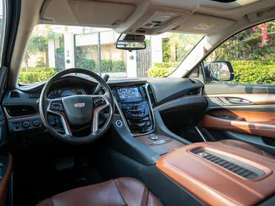 2020 كاديلاك اسكاليد بلاتينيوم