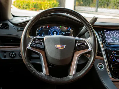 2020 كاديلاك اسكاليد بلاتينيوم