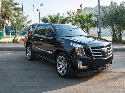 2020 كاديلاك اسكاليد بلاتينيوم