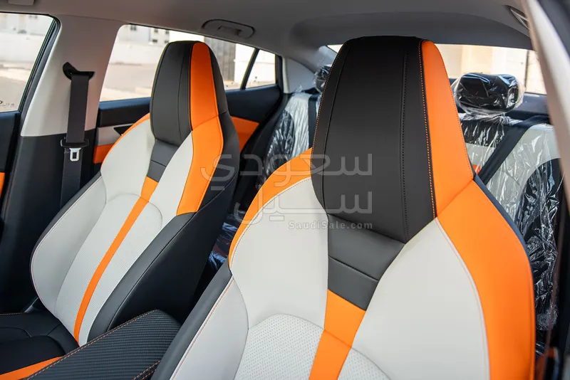 2025 دونج فينج شاين