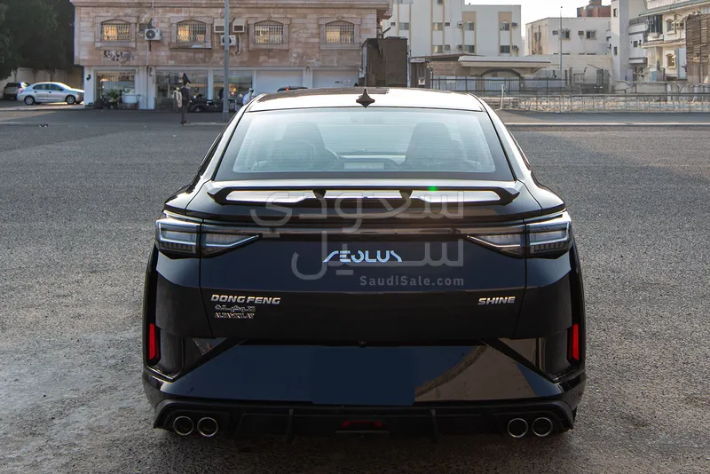 2025 دونج فينج شاين