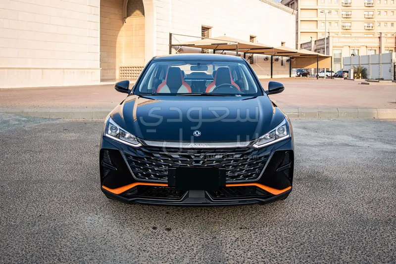 2025 دونج فينج شاين