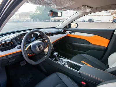 2025 دونج فينج شاين