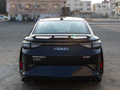 2025 دونج فينج شاين