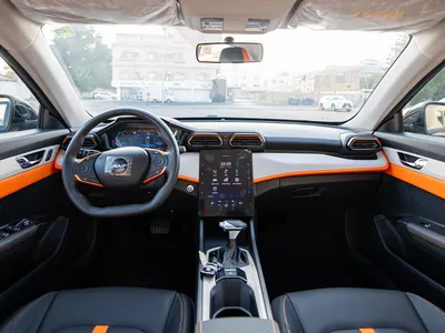 2025 دونج فينج شاين